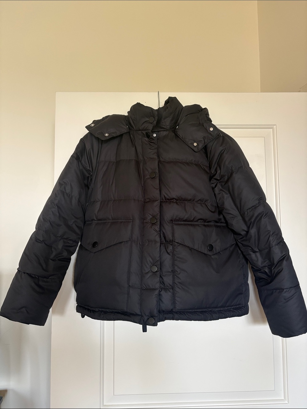 Everlane Black Puffer Jacket with Removable Hood